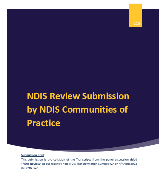 NDIS Review Submission